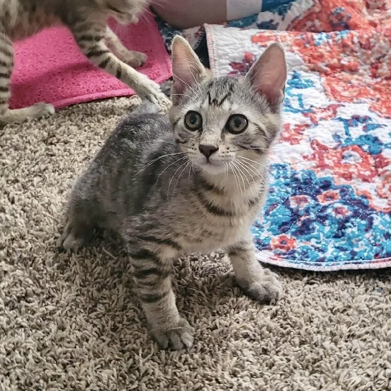 Overwatch thumbnail 3