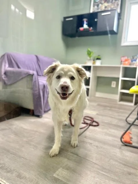 Sadie