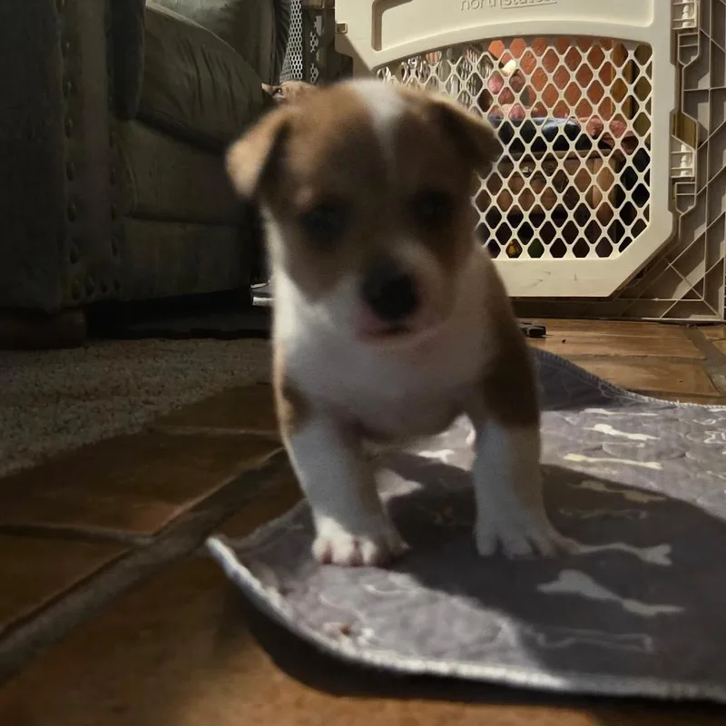 Loki thumbnail 2