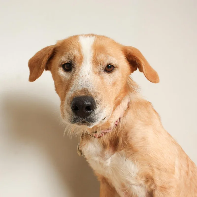 Meemaw Ivey D thumbnail 2