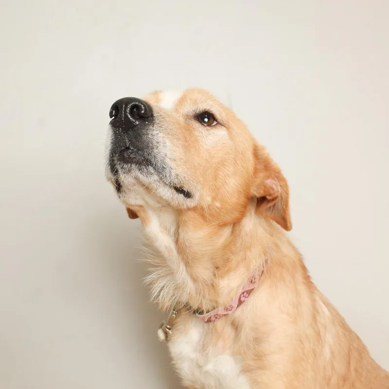 Meemaw Ivey D thumbnail 3