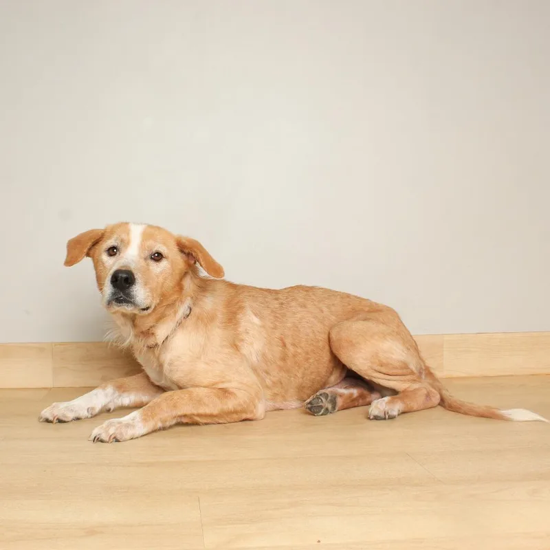 Meemaw Ivey D thumbnail 4