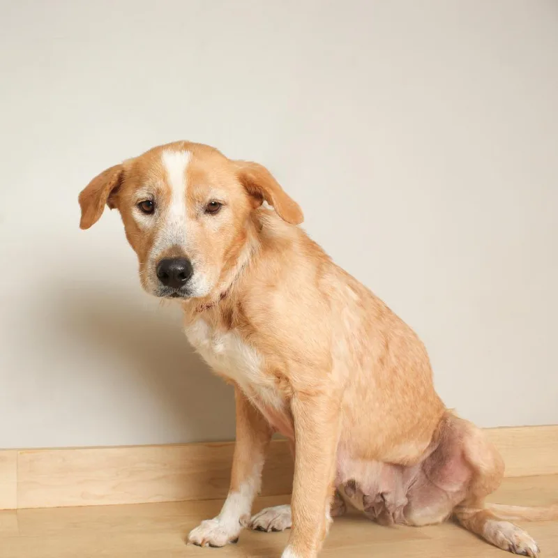 Meemaw Ivey D thumbnail 5