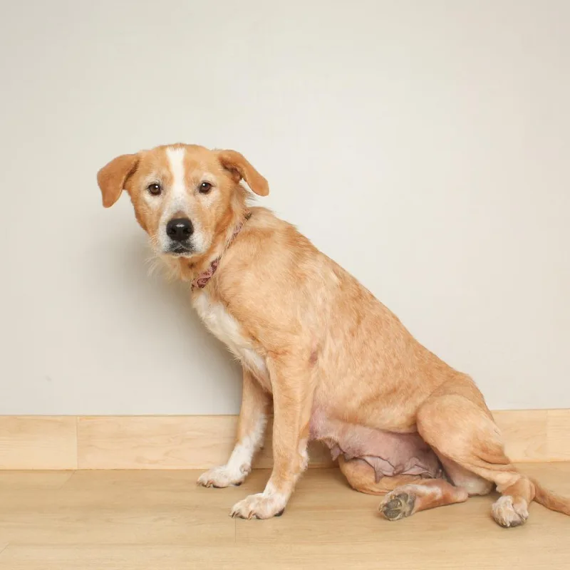 Meemaw Ivey D thumbnail 6