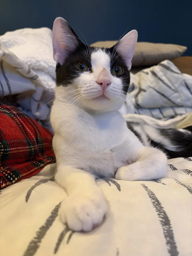 Rachel  Willow Grove