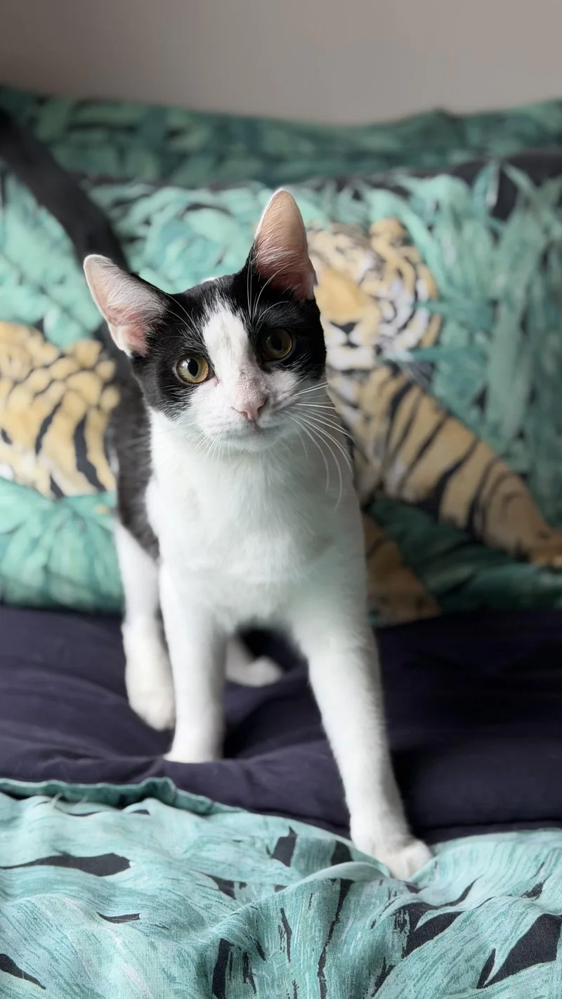 Rachel  Willow Grove thumbnail 2