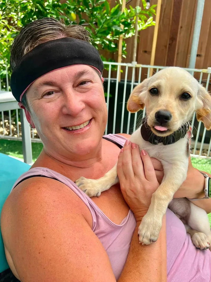 A baby medium-sized male Yellow / Tan / Blond / Fawn Yellow Labrador Retriever dog named Klondike for adoption in Lafayette, CA