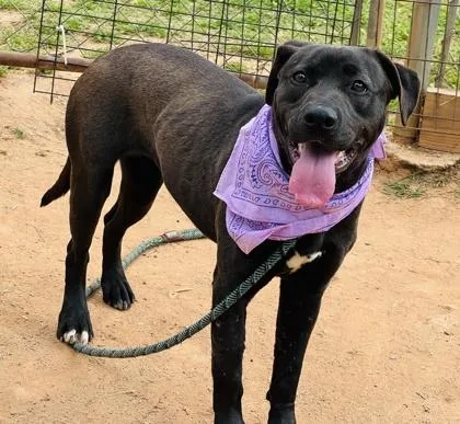 Symone $ thumbnail 2