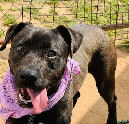 Symone $ thumbnail 3