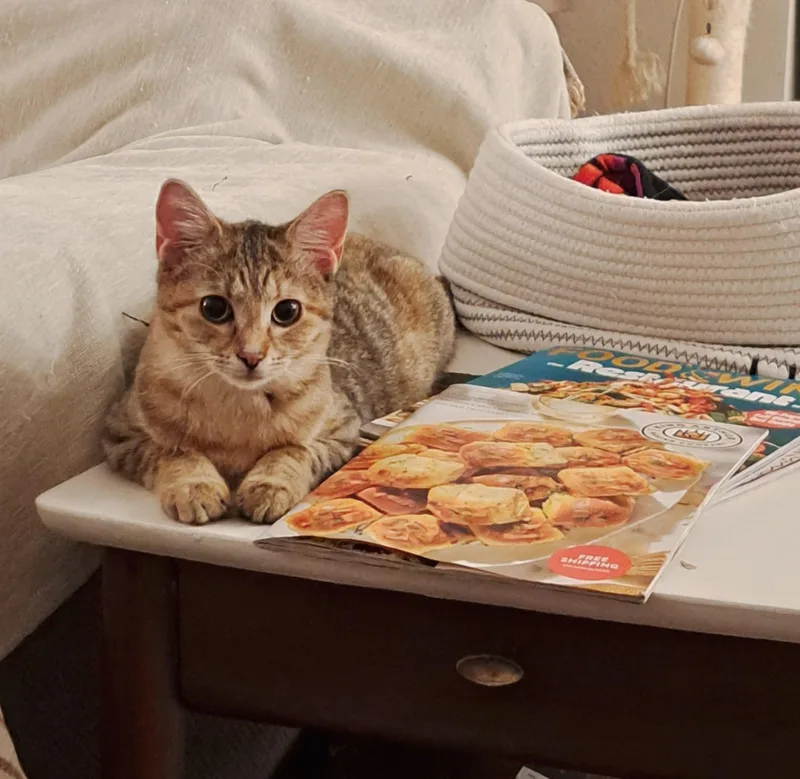 Chicha =^.^= thumbnail 5