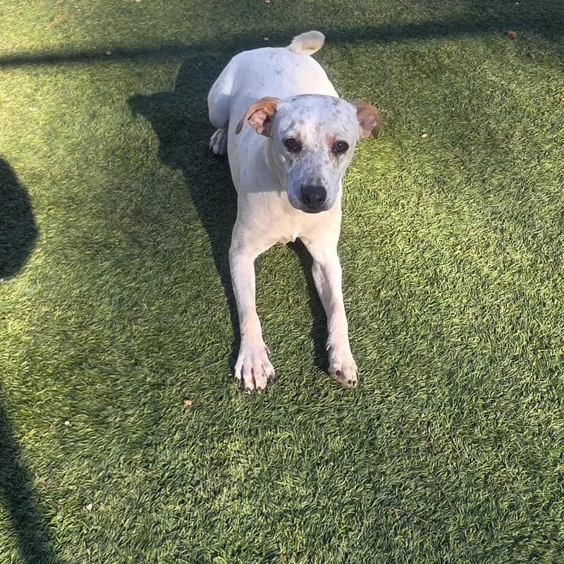 Marlowlyn thumbnail 5