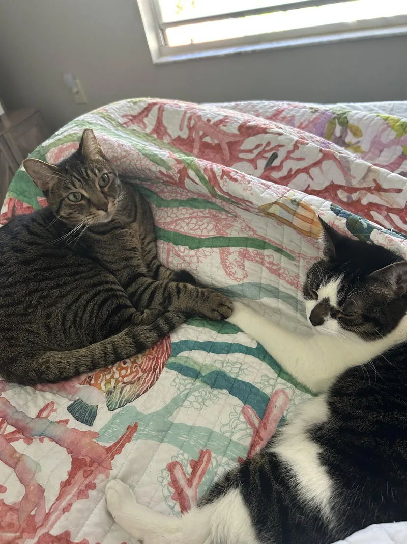 Bonded Pair: Pooky &