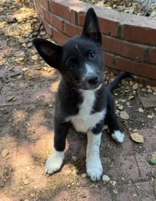 Winnie