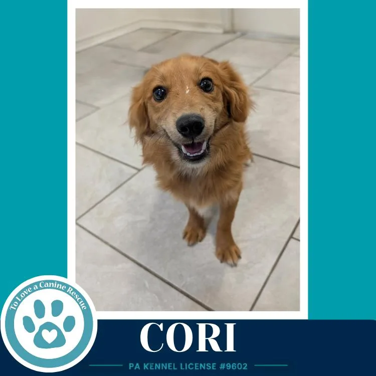 Cori