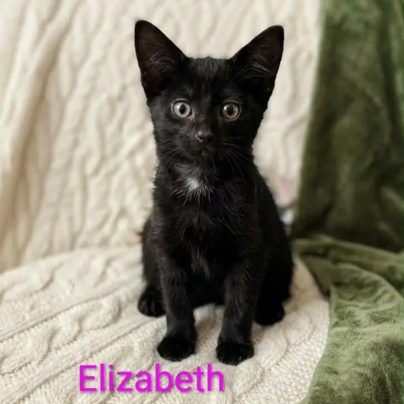 Elizabeth