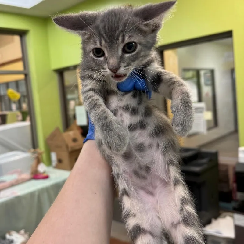 Home Depot thumbnail 2