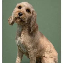 Hera  Ready For thumbnail 2