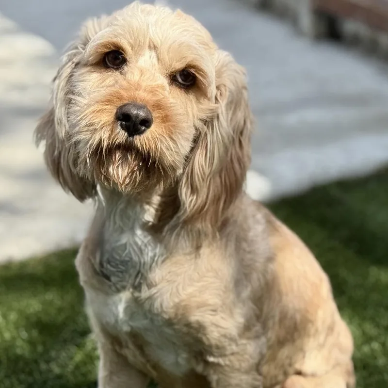 Hera  Ready For thumbnail 3