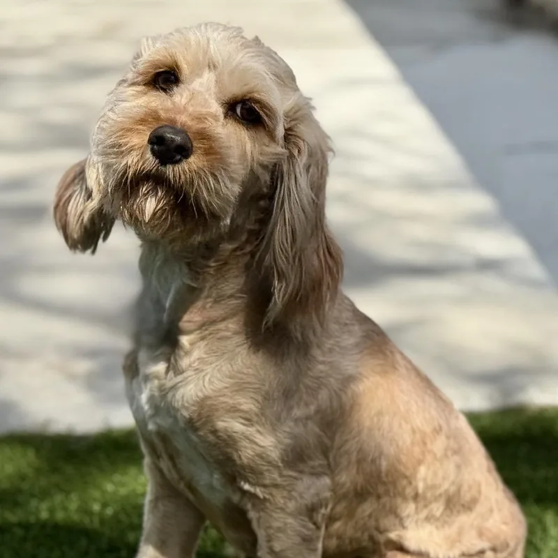 Hera  Ready For thumbnail 4