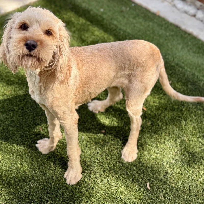 Hera  Ready For thumbnail 5