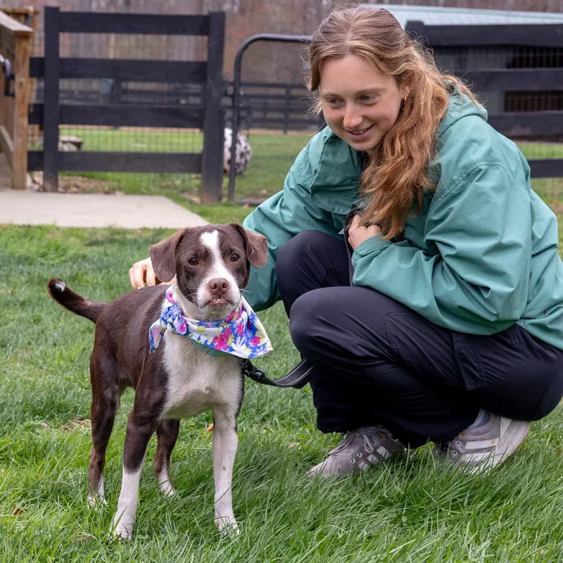 Janaeavail thumbnail 2