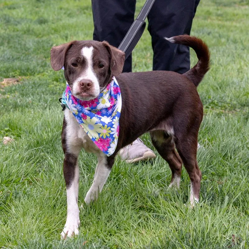 Janaeavail thumbnail 3