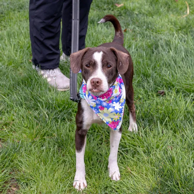 Janaeavail thumbnail 5