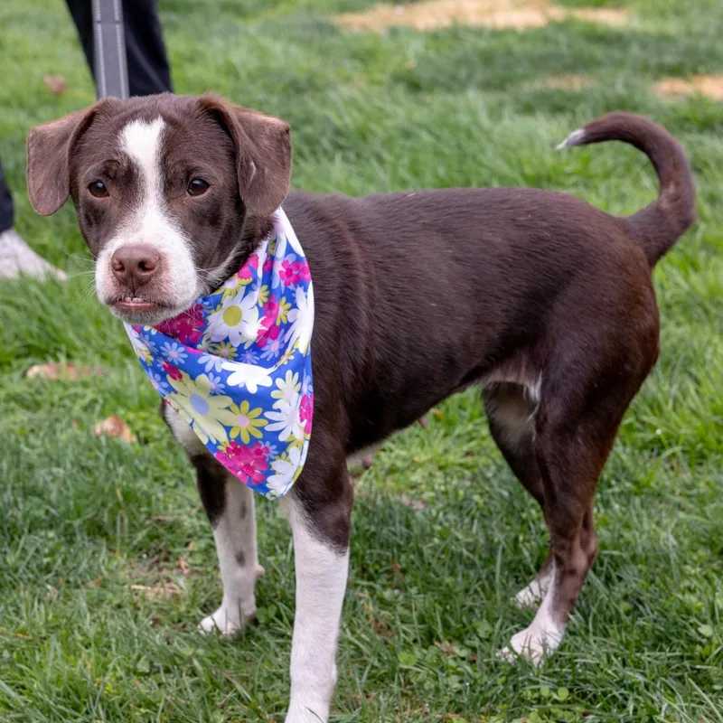 Janaeavail thumbnail 6