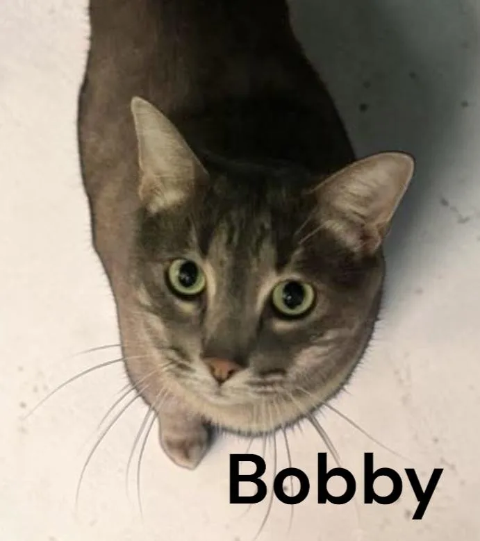Bobby