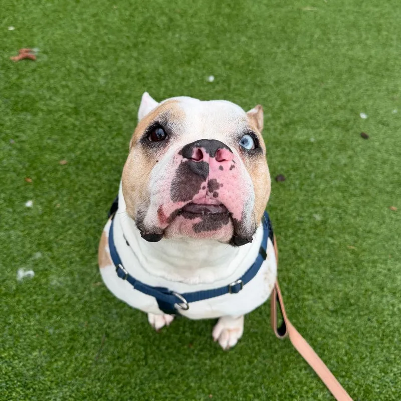 Nantucket thumbnail 2