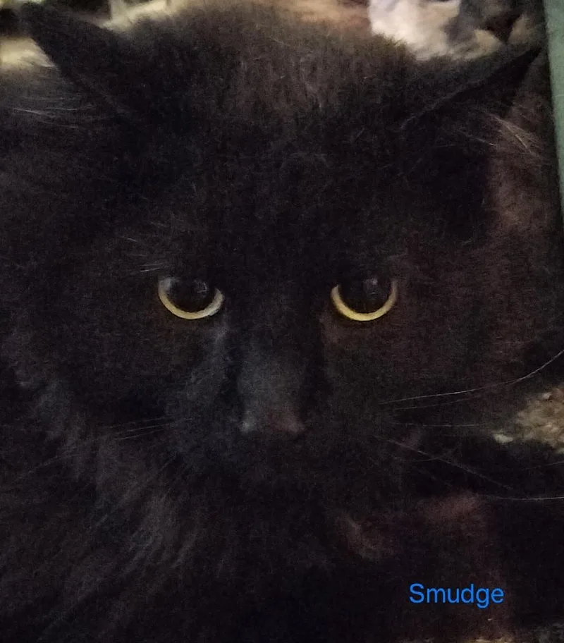 Smudge