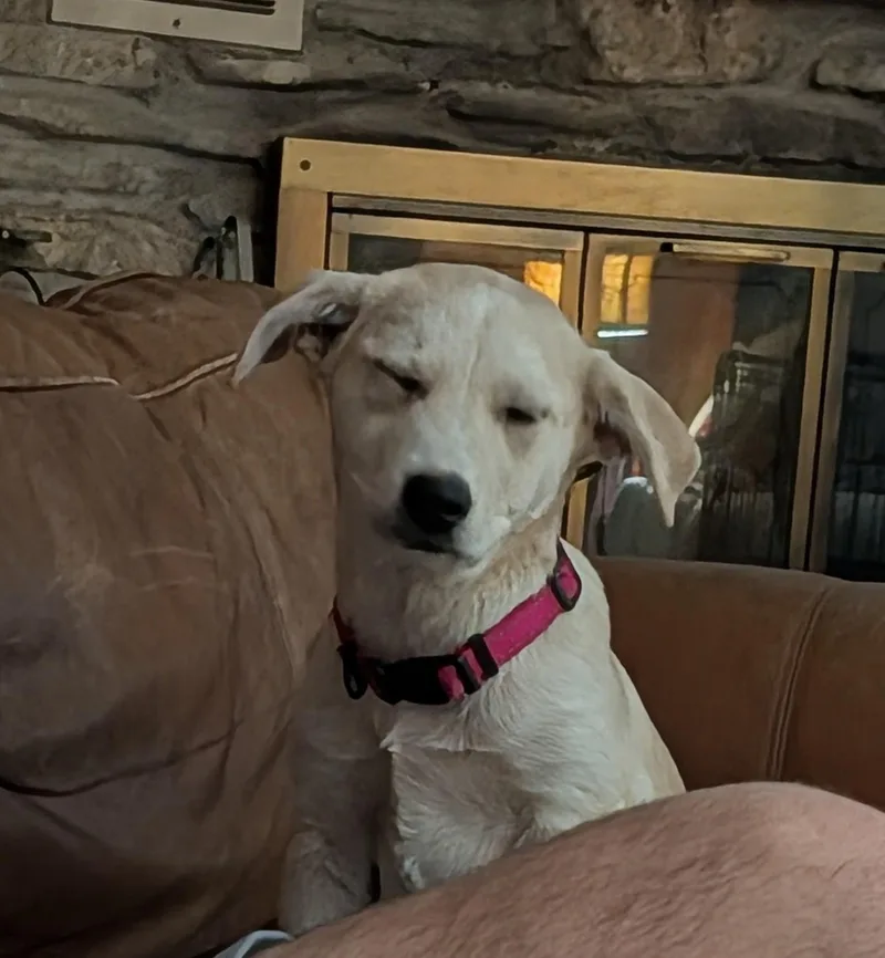 Morgan Maha thumbnail 4