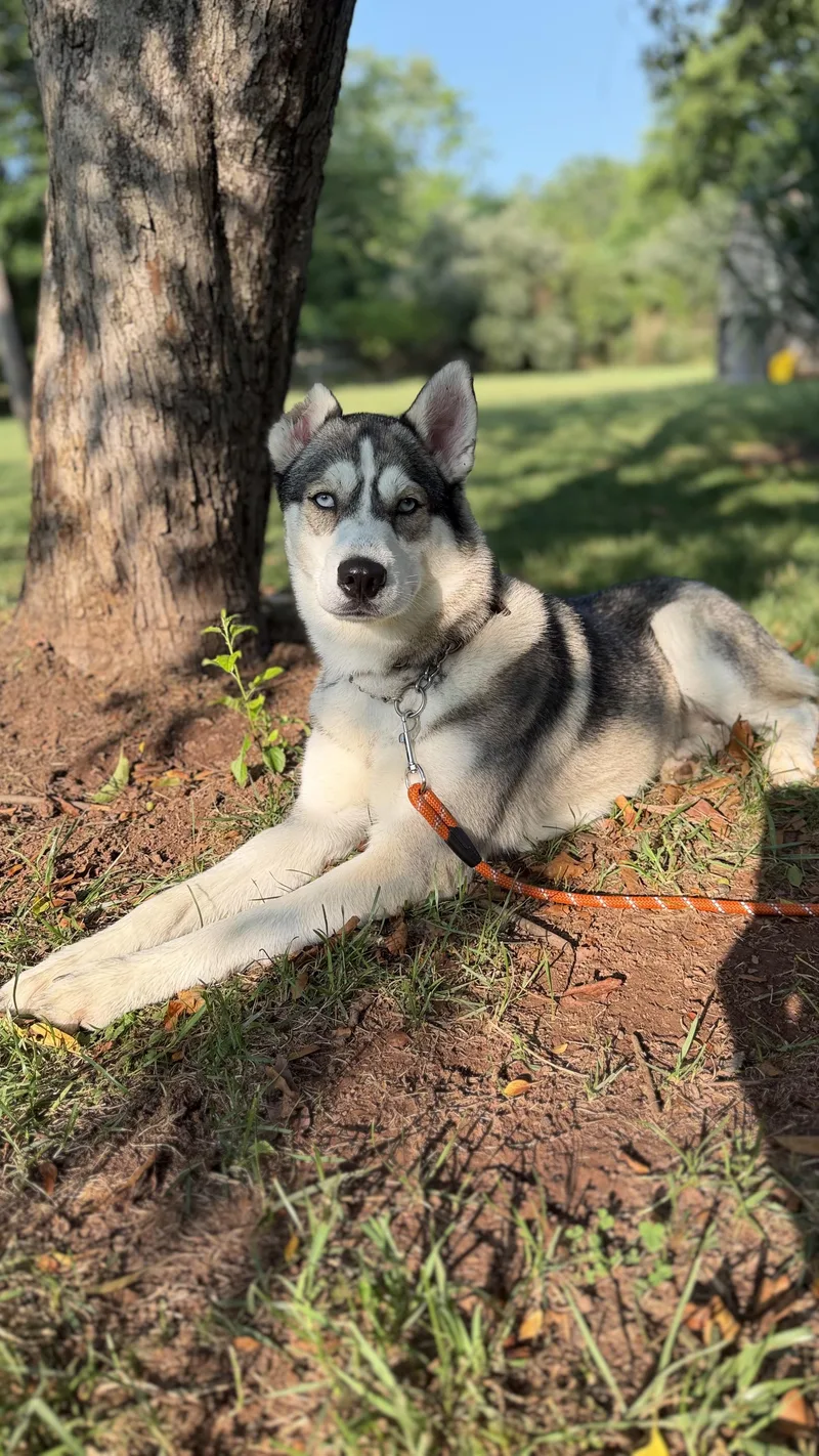Skye