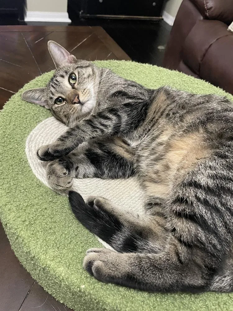 Wildflower thumbnail 2