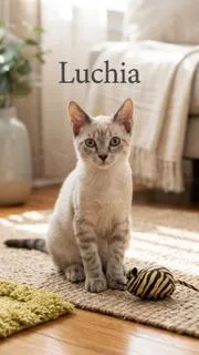 Luchia