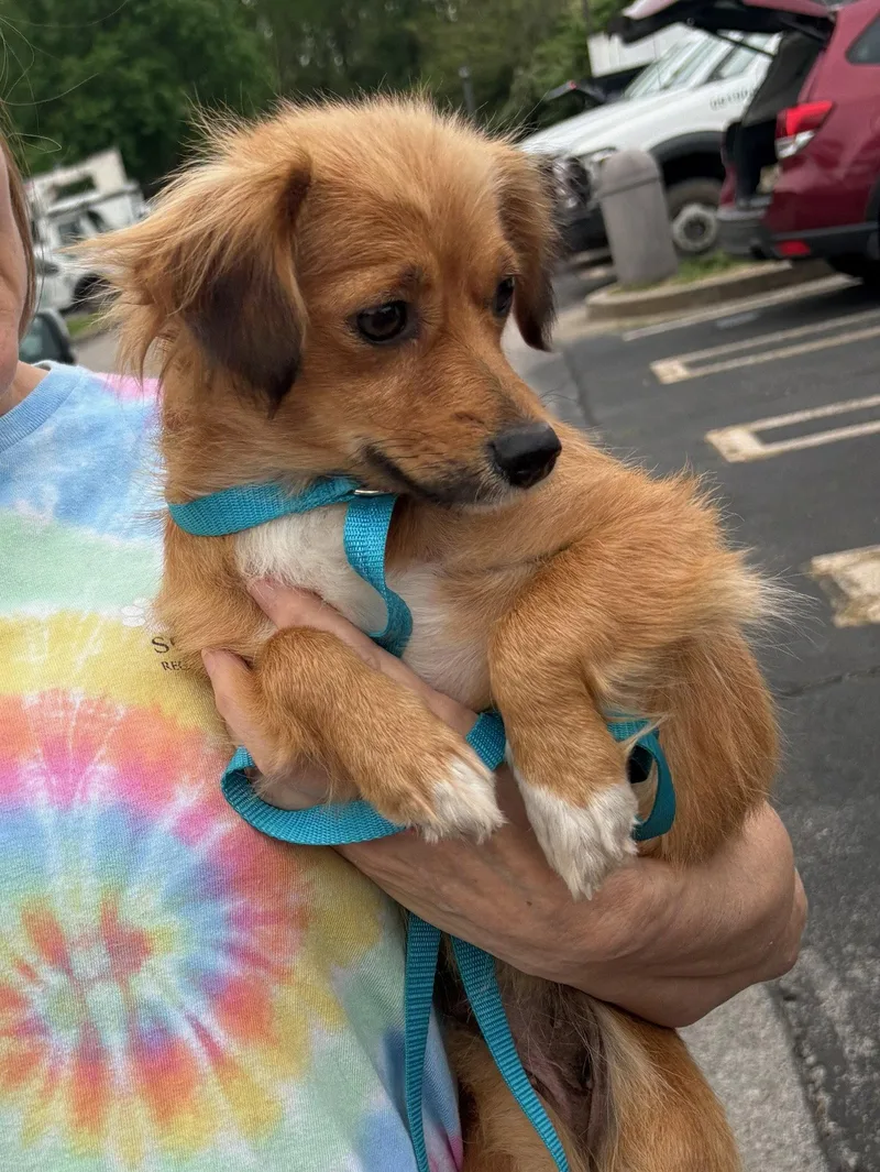 Ruby Rose thumbnail 2