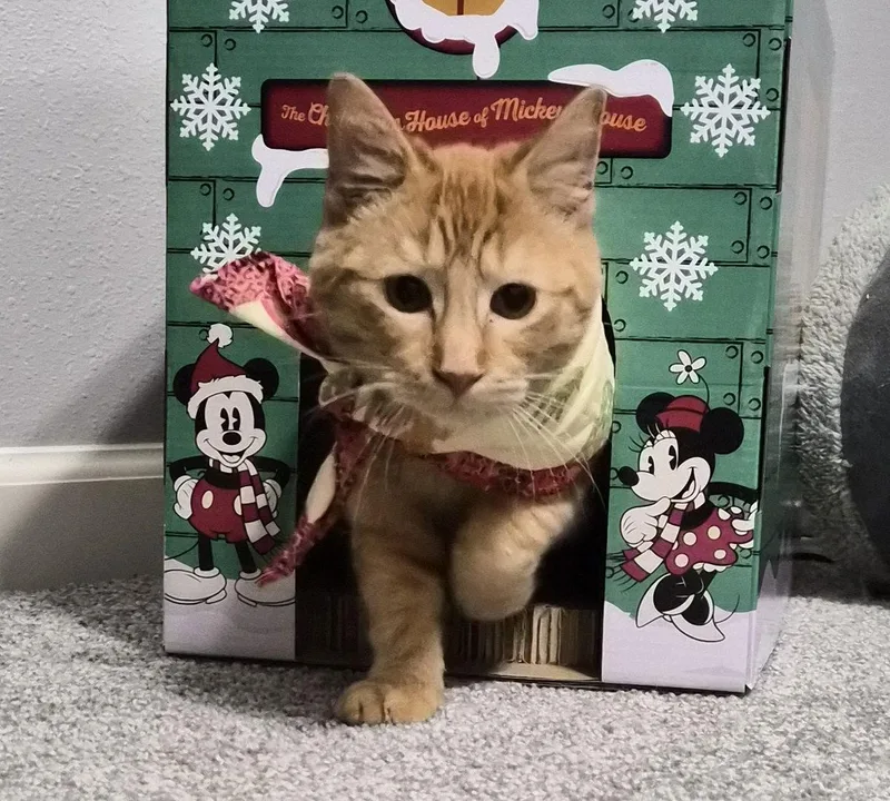 Rusty Friendlygingerboy thumbnail 2