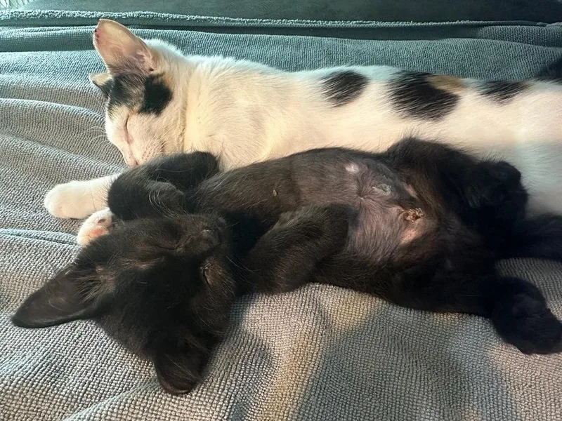 Lily Aka Jaga thumbnail 3