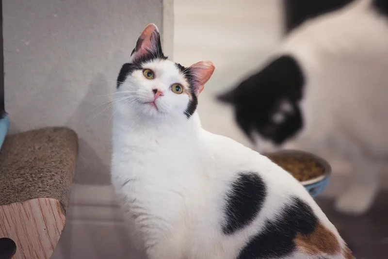 Lily Aka Jaga thumbnail 6