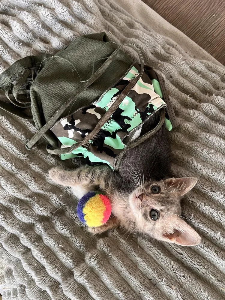 Zoey Baby thumbnail 2