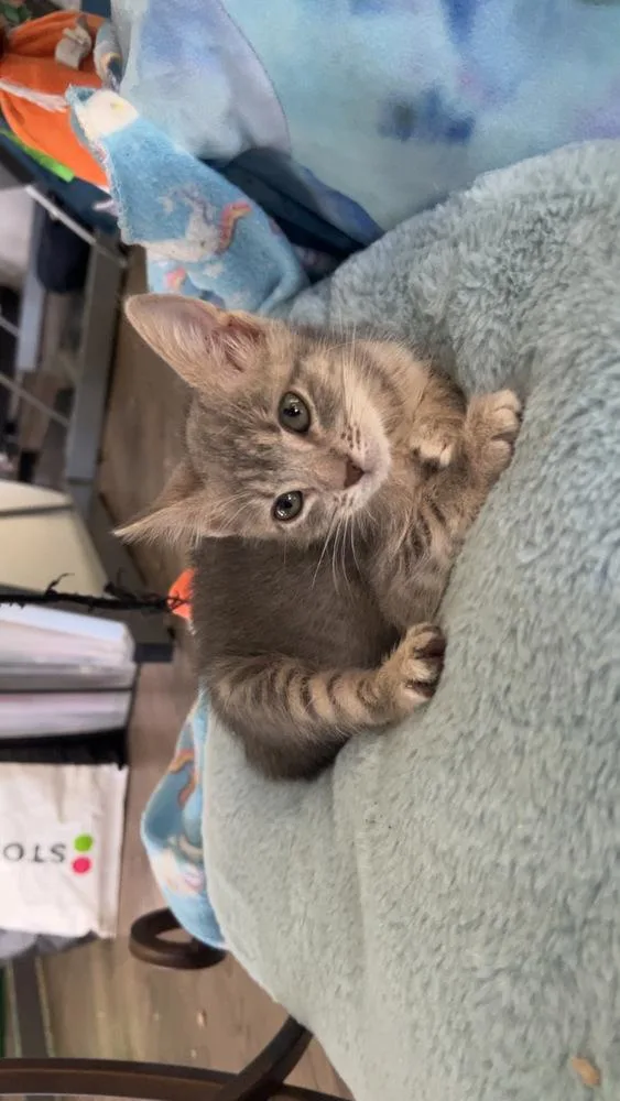 Zoey Baby thumbnail 3
