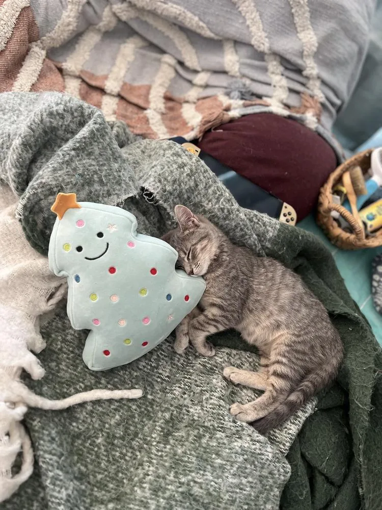 Zoey Baby thumbnail 5