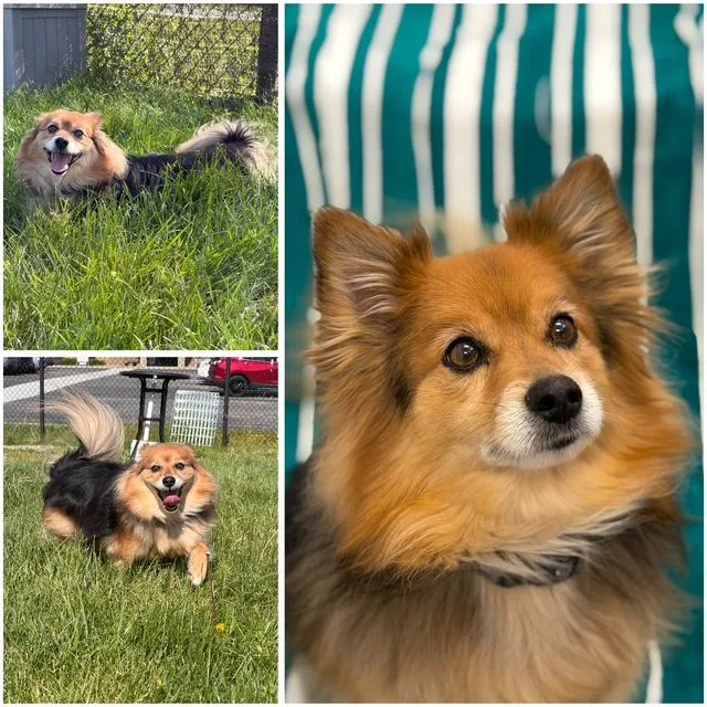 Sammie