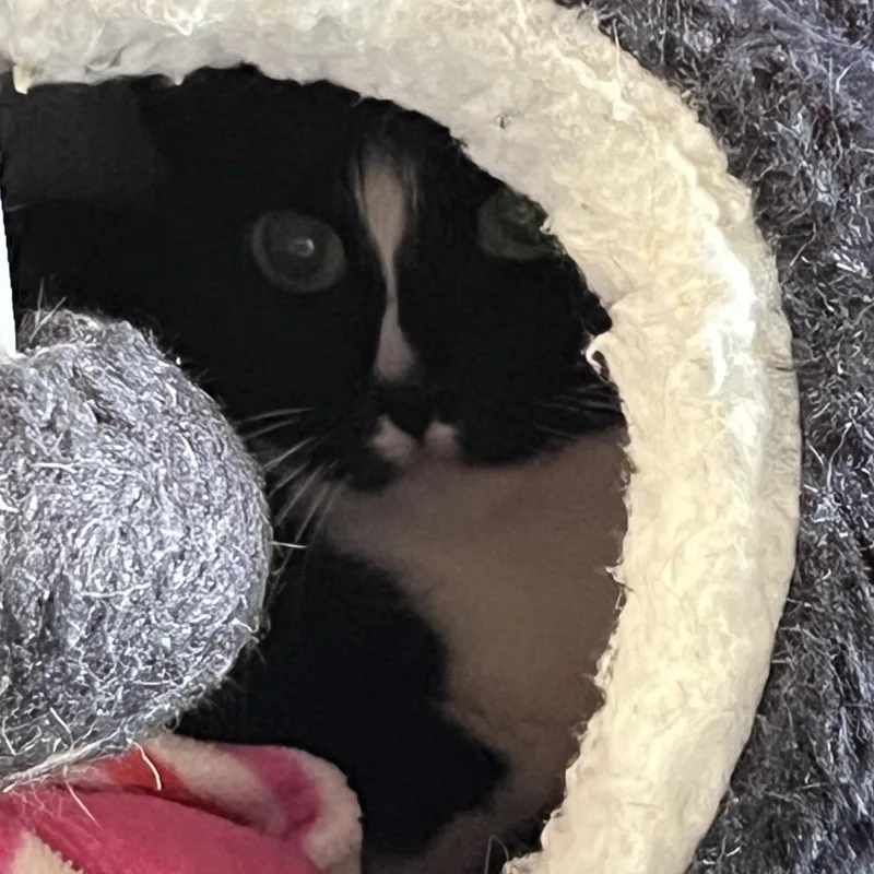 Mama Downs thumbnail 2