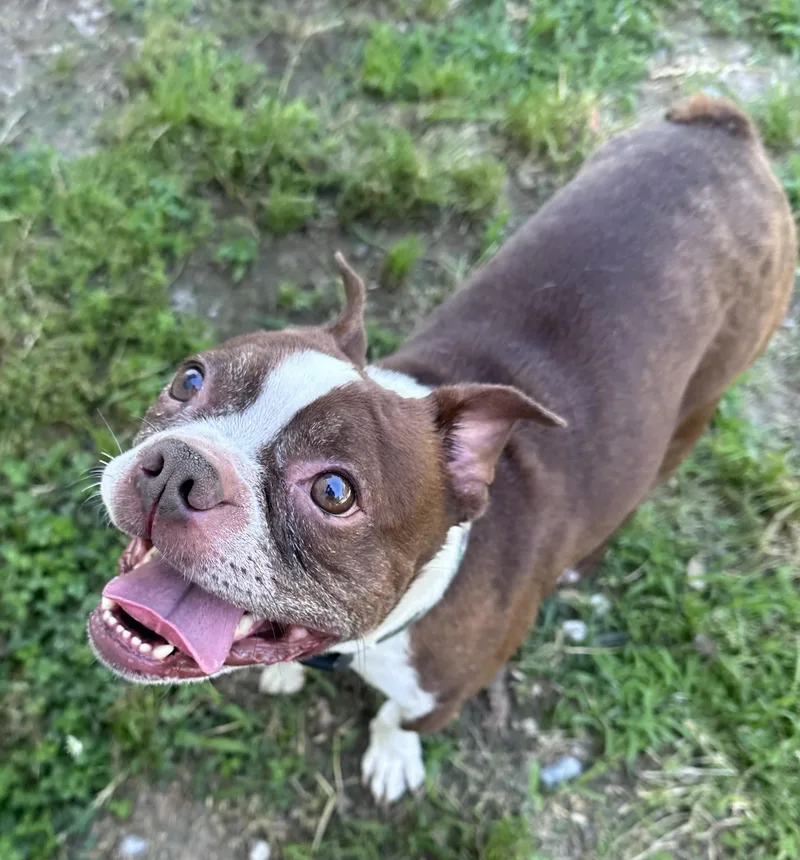 Duncan