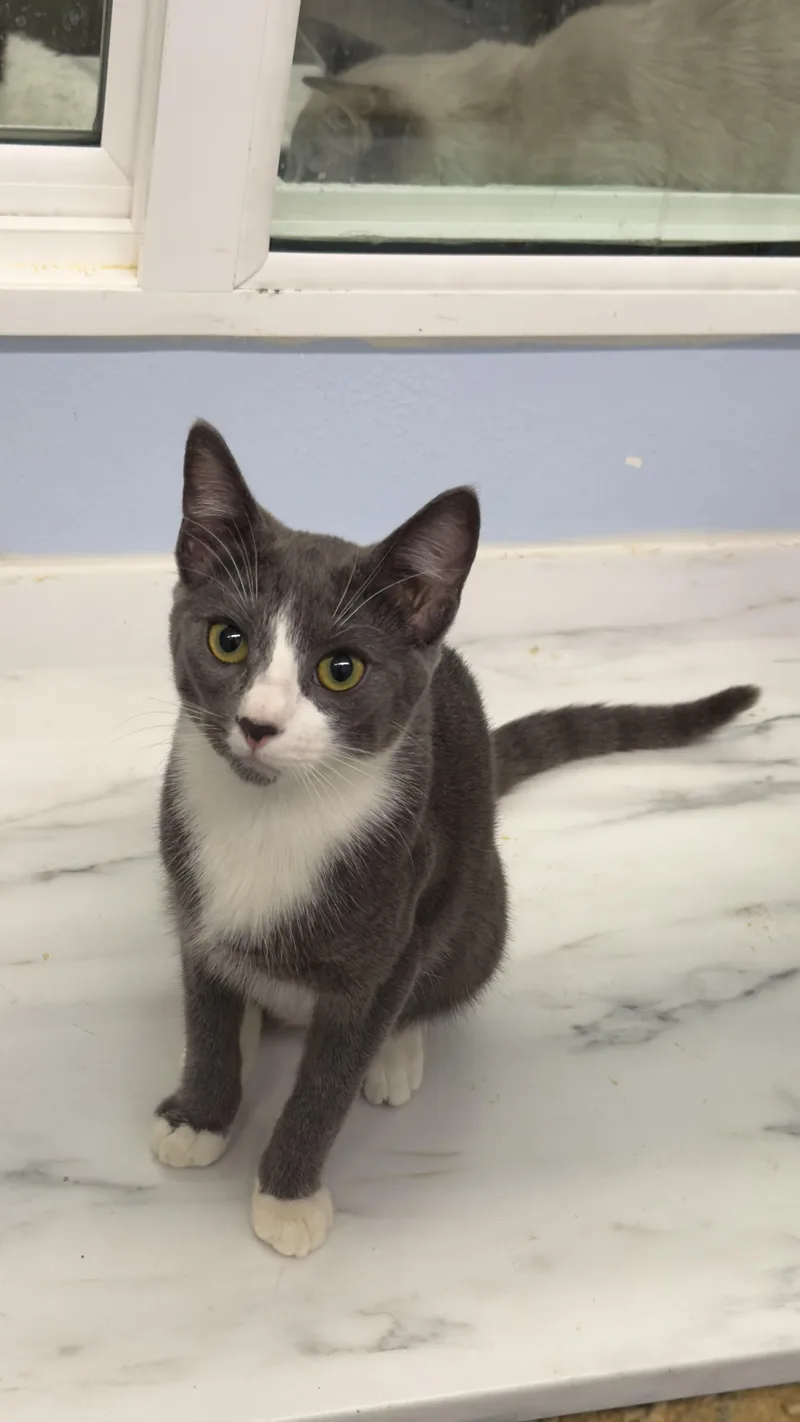 Chanthat And Mimi thumbnail 2