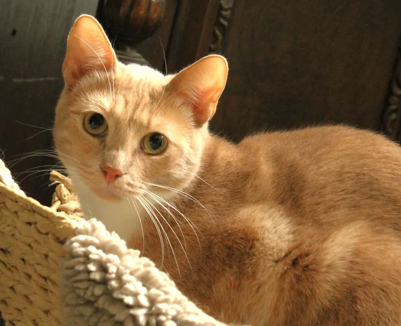 Sundance thumbnail 2