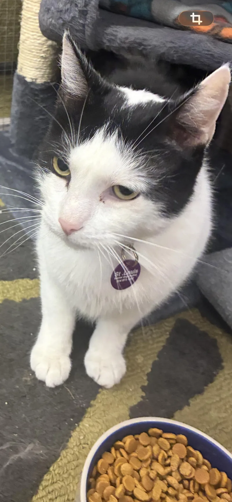 Lachlan Dublin thumbnail 2