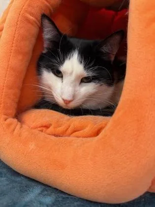 Gigi  Mister  thumbnail 3