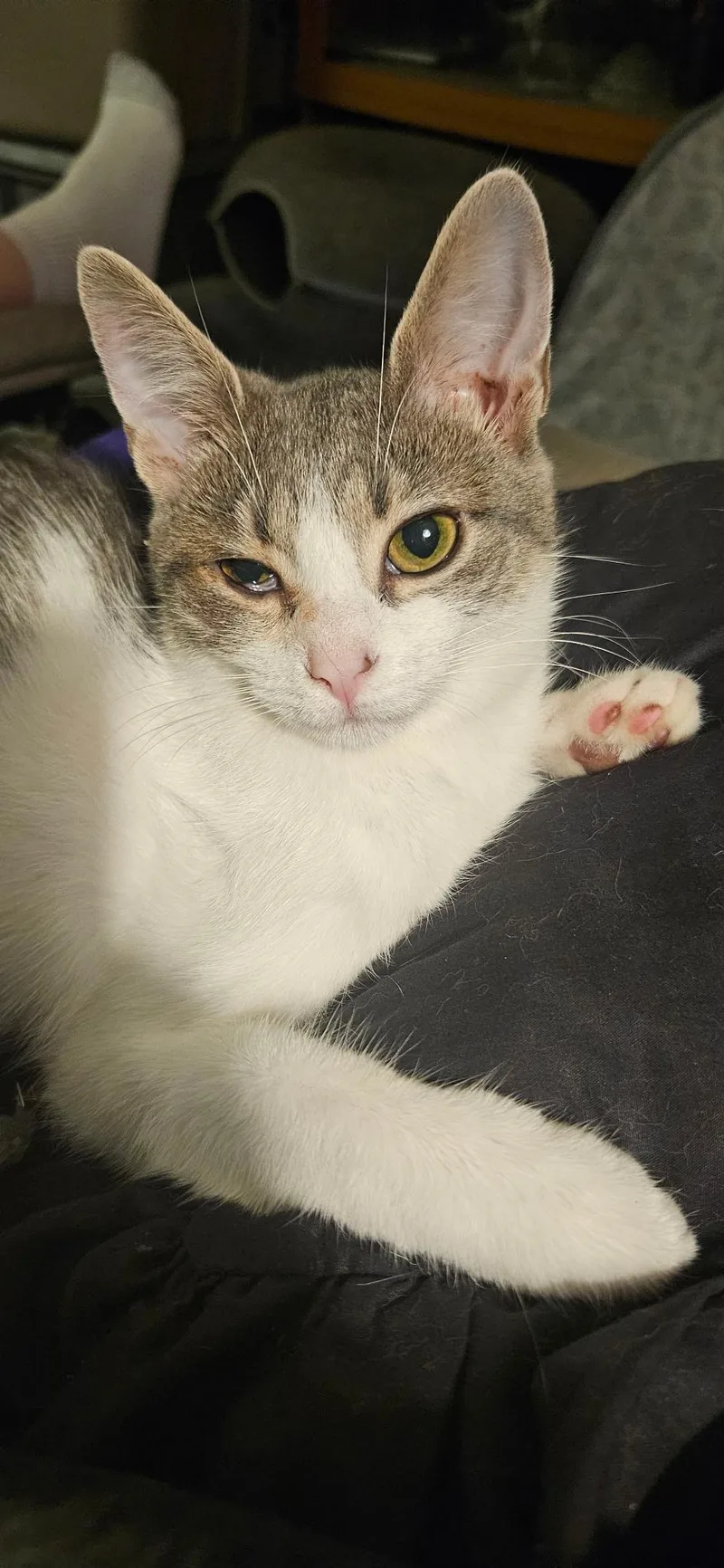 Pepper thumbnail 3